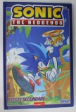 SONIC THE HEDGEHOG , EFECTE SECUNDARE , BENZI DESENATE CU TEXT IN LIMBA ROMANA , 2024