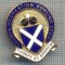 AX 319 INSIGNA BOWLING- THORPE RECREATION BOWLING CLUB- ST.ANDREW-MAREA BRITANIE