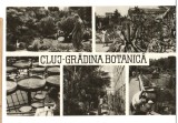 CPIB 17513 CARTE POSTALA - CLUJ. GRADINA BOTANICA. MOZAIC, Necirculata, Fotografie
