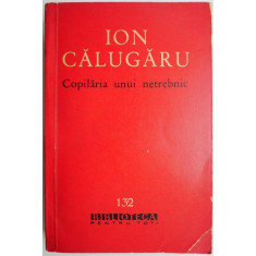 Copilaria unui netrebnic &ndash; Ion Calugaru