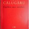 Copilaria unui netrebnic &ndash; Ion Calugaru