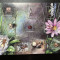 PC27 - AFRICA DE SUD 2004 Fauna/ Paianjeni (timbre adeziv), Bloc MNH, 10v