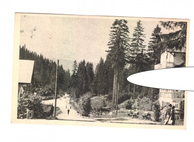 CP Borsec - Spre izvoare, RPR, necirculata, animata, stare foarte buna foto