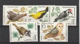 Fauna ,pasari ,Rusia ., Nestampilat