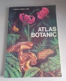 Atlas botanic - Lucia Popovici , C. Moruzi , 1993