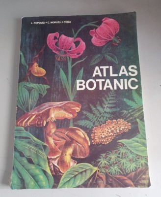 Atlas botanic - Lucia Popovici , C. Moruzi , 1993 foto