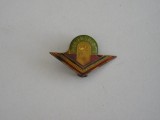 QW9 J 78 - Insigna - tematica pionieri - Pionier sportiv, Romania de la 1950