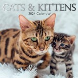 Cats &amp; Kittens - 2024 Square Wall Calendar