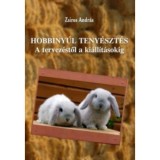 Hobbiny&uacute;l teny&eacute;szt&eacute;s - A tervez&eacute;stől a ki&aacute;ll&iacute;t&aacute;sokig - Zsiros Andr&aacute;s
