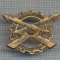 AX 67 INSIGNA MILITARA - TRANSPORTURI - LOGISTICA