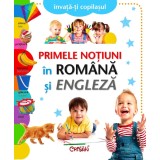 Primele notiuni in Romana si Engleza