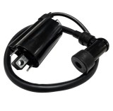 Bobina inductie ATV Linhai