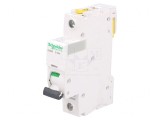 &Icirc;ntrerupător Supracurent 230V 32A 1P D