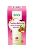 Ceai cu fragute, 20 plicuri, Plafar