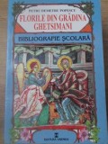 FLORILE DIN GRADINA GHETSIMANI-PETRU DEMETRU POPESCU-338882