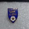 Insigna I P Aluminiu Slatina