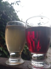 vin si țuică de țară