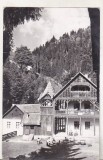 bnk cp Vila la Valea Vinului - Vedere - uzata