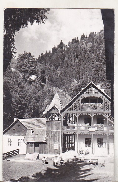 bnk cp Vila la Valea Vinului - Vedere - uzata