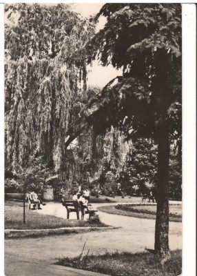 CPIB 16883 CARTE POSTALA - BACAU. VEDERE DIN PARC, RPR foto