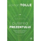 Puterea prezentului. Ghid practic. Invataturi esentiale, meditatii si exercitii preluate din cartea Puterea prezentului. Editia a 3-a - Eckhart Tolle