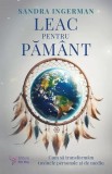 Leac pentru Păm&acirc;nt. Cum să transformăm toxinele personale şi de mediu - Paperback - Sandra Ingerman - For You