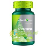 Berberina 500mg 90cps