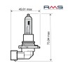 Bec halogen 12V 65W HS3 alb, Oem