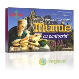 Extract Purificat de Rasina cu Pantocrin 30tb