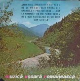 Disc vinil, LP. MUZICA USOARA ROMANEASCA-COLECTIV-218003