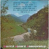 Disc vinil, LP. MUZICA USOARA ROMANEASCA-COLECTIV-218003
