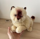 Jucării Pluș Retro Vintage - Pisică de pluș (RCO Toys)