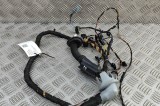 Cablaj ușă dreapta față BMW 5 G60 2025 OEM: 5A8BFA3 31548159