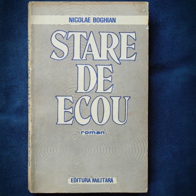 STARE DE ECOU - NICOLAE BOGHIAN foto