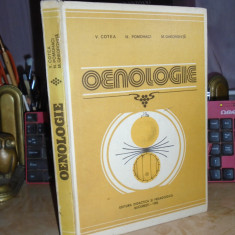 V. COTEA - OENOLOGIE , 1982