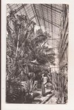 RF206 - Carte Postala - Cluj. Gradina Botanica. Sera plantelor exotice, circulata 1965
