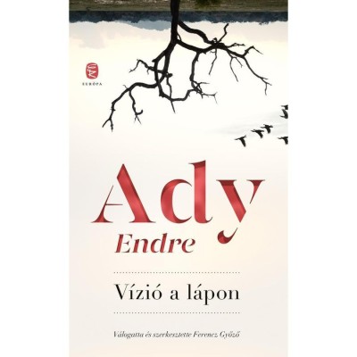V&amp;iacute;zi&amp;oacute; a l&amp;aacute;pon - Ady Endre foto