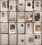 (sigilata) 2016 BRANCUSI. Omul si Obiectele sale in Colectia Emilian Radu; Din CORESPONDENTA cu FLORENCE MEYER, AVANGARDA ROMANEASCA Lizica Codreanu..