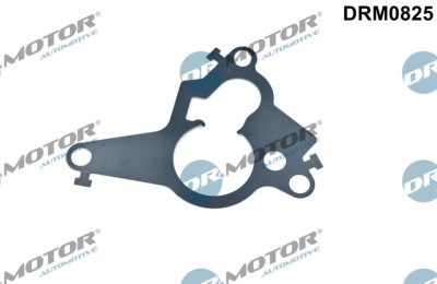 Garnitura, Piston Pompa Vacuum 256047 DRM0825 foto