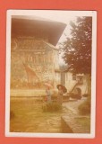 AMS @ - FOTO VORONET , ANII 70, COLOR