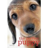 The perfect puppy