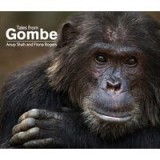 Tales from Gombe
