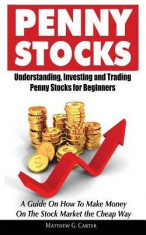 Penny Stocks: Understanding, Investing and Trading Penny Stocks for Beginners a Guide on How to Make Money on the Stock Market the C foto