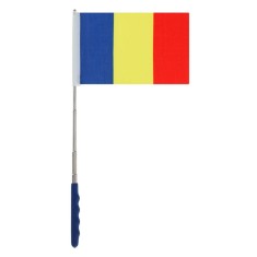 Steag Extensibil, Suport Metalic, Multicolor, Dimensiuni 29x21.5 cm, Lungime 61 cm