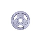 Greutate fier inSPORTline Hamerton 5 kg/31mm FitLine Training