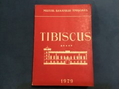 Carte / Revista Tibiscus nr 5 anul 1979 - 492 pagini / Muzeul Banatului Timisoara !