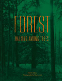 Forest : Walking Among Trees | Matt Collins, 2020