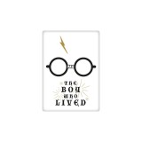 Magnet metal - Harry Potter - The boy who lived | Grupo Erik