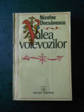 NICOLAE DOCSANESCU - VALEA VOIEVOZILOR