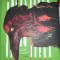 Apocalipsa - Stephen King
